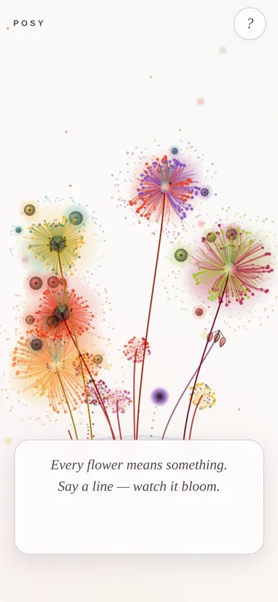 Posy showing a delicate bouquet of colorful flowers and a message card